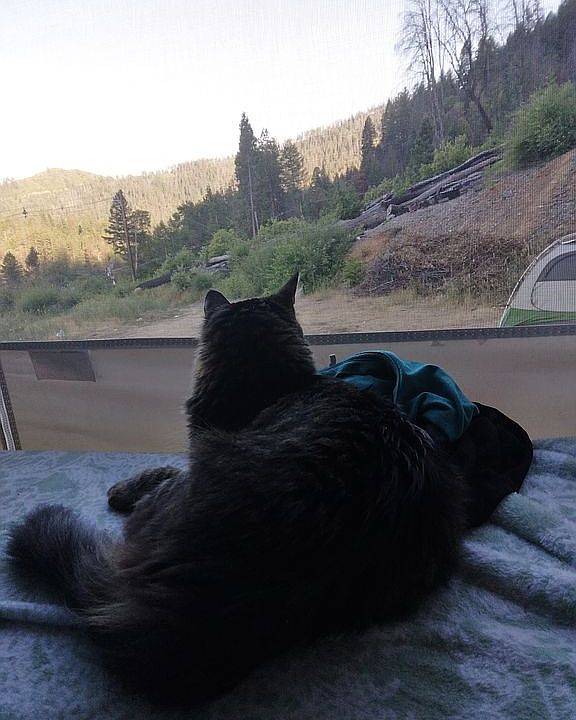  Watch sky mt. View birds 