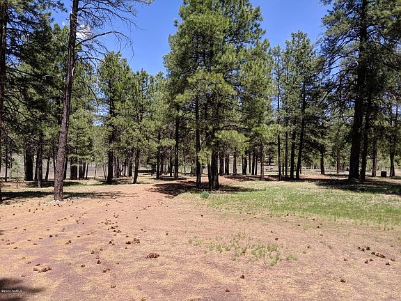 5th image of 990 Old Munds Hwy