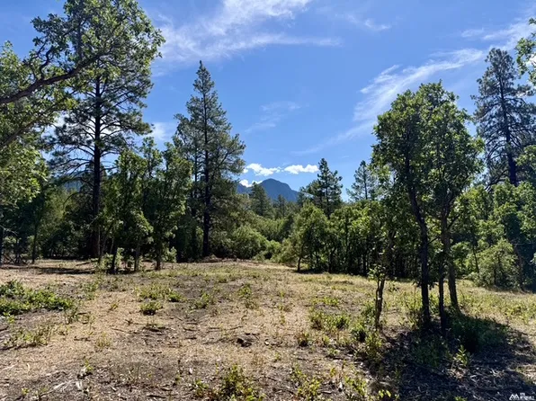67 Private Drive 1755, Chama, NM 87520