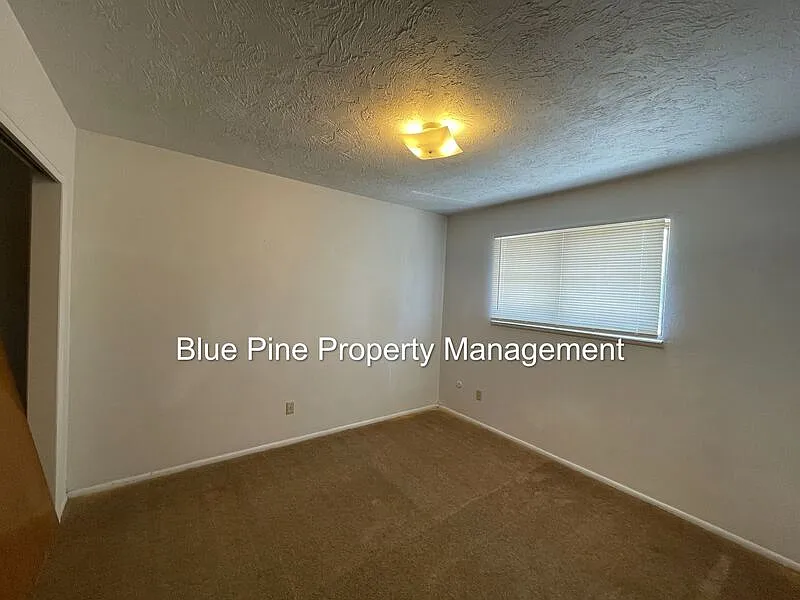 2 bed, 1.0 bath, 700 sqft, $750 — Photo 4