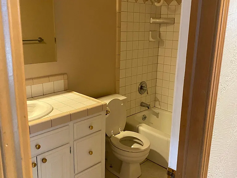 1305 Smoking Tree St — Photo 11