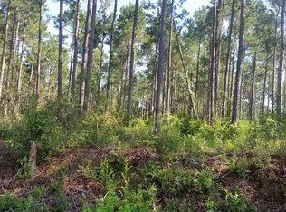 Highway 196, Molino, FL 32577