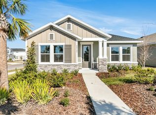 28732 Rambutan Dr, Wesley Chapel, FL 33543