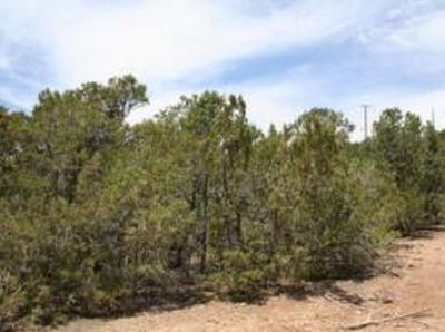 Olympio Ln, Cedar Crest, NM, 87008
