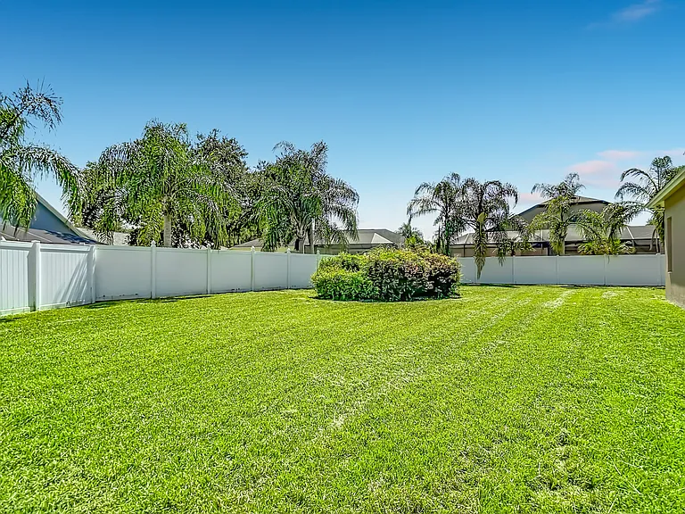 Expansive back yard.