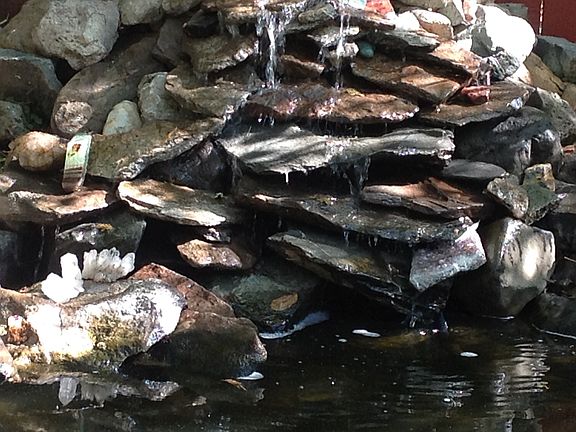 Koi Pond with Waterfall