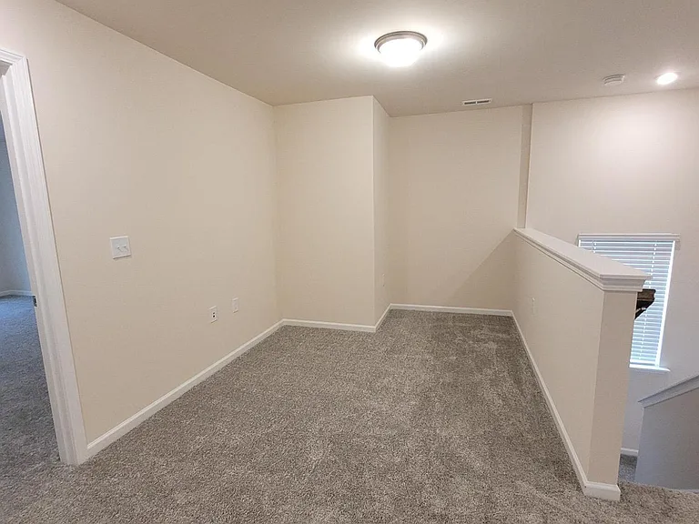 234 Ribbon Rail St — Photo 26