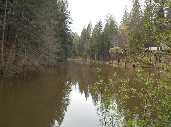 8700 Grizzly Flat Rd, Somerset, CA 95684