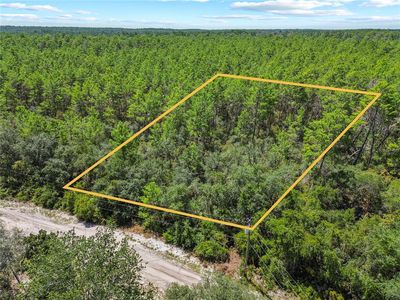 00 SE 142 PL LOT 6, Umatilla, FL, 32784