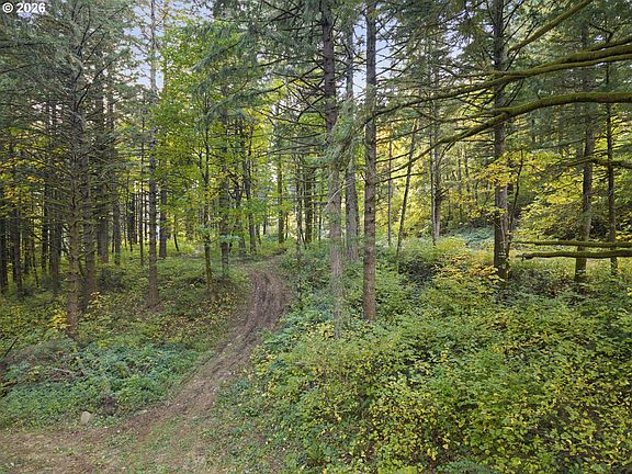 2nd image of 0 Warren Rd #4