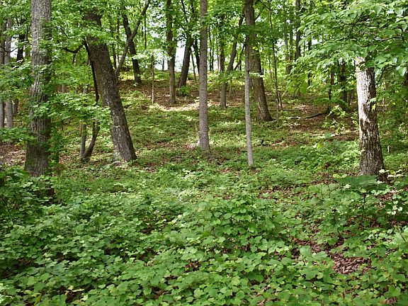 5th image of 450 Hidden Forest Trl