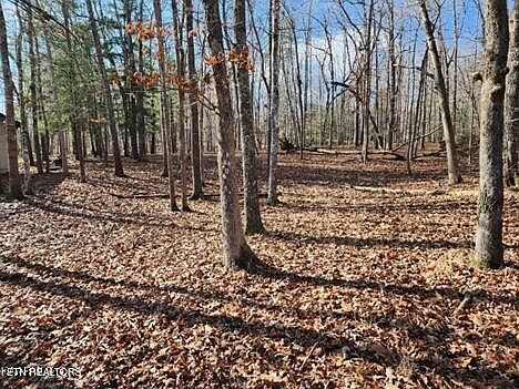 4th image of 148 Ivy Brook Ln