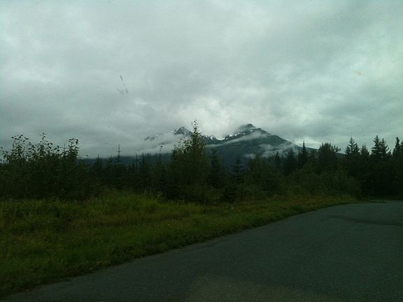 5th image of 26 Mile Haines Highway Eagle Vis