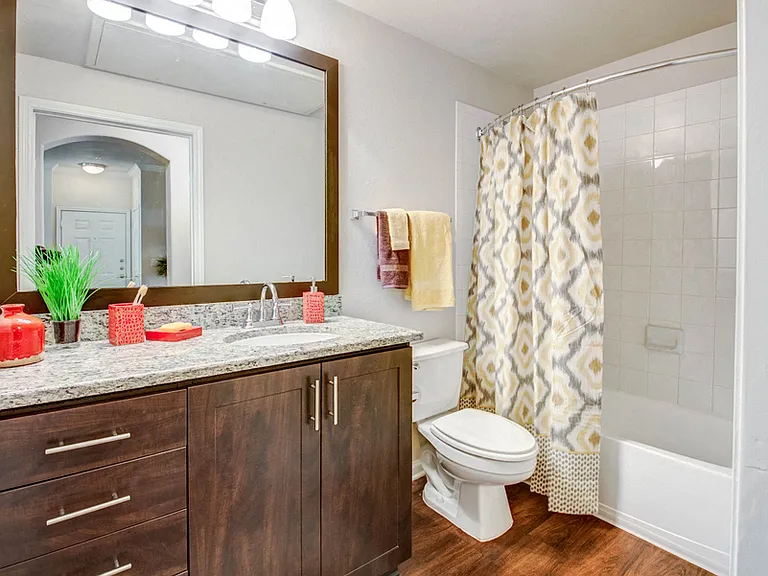 Bathroom with framed mirror and wood-style flooring