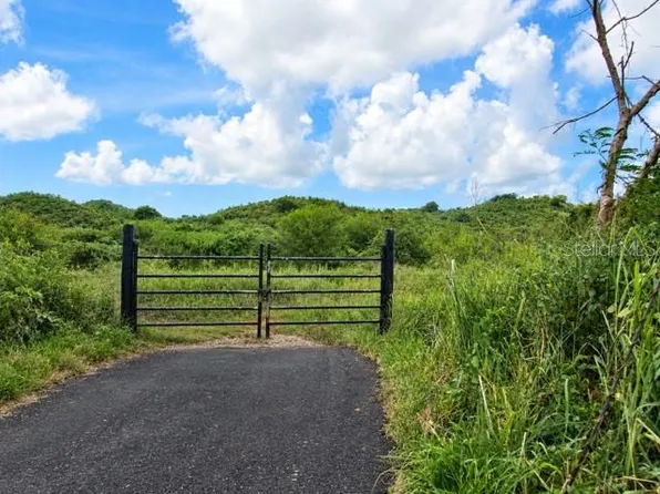 PR 77711, GUAYAMA, PR 00784