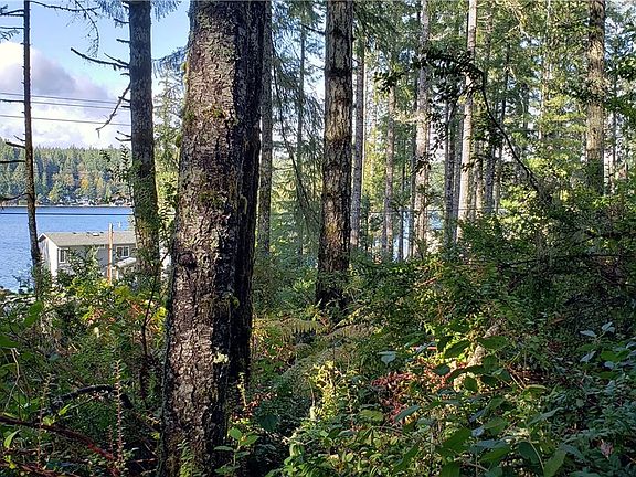 5th image of 1320 E Mason Lake Dr E