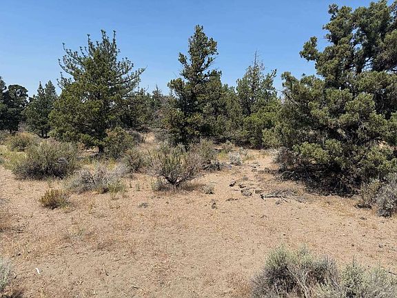 2nd image of LOT 2 Feldman Rd