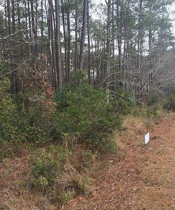 3rd image of 823 Wood Creek Drive LOT 5 and 6
