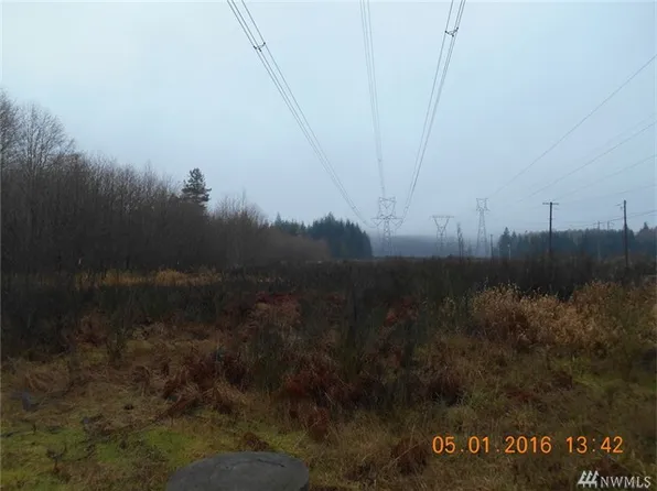 74 Lennon Rd, Elma, WA 98541