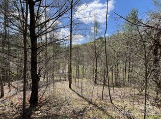 999 Freedom Ln, Hot Springs, NC 28743