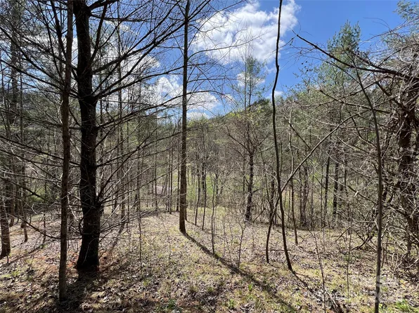 999 Freedom Ln, Hot Springs, NC 28743