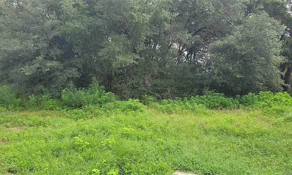 2nd image of 1501 W Magenta Dr