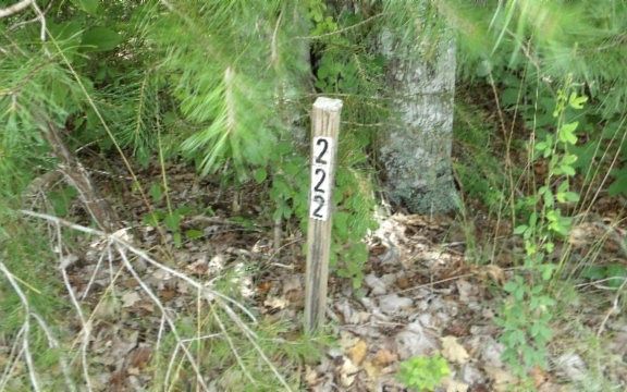 3rd image of 0 Hilltop Ln Lot 222
