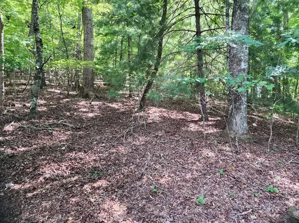 0 Timberline Ln, Hayesville, NC 28904