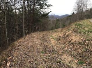 189 Roberts Mountain Rd, Clyde, NC 28721