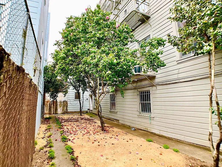 650 Masonic Ave #3 — Photo 19