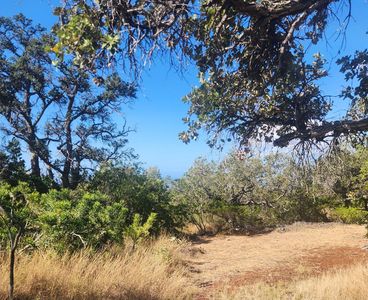 King Kamehameha Blvd Lot 19, Ocean View, HI, 96737