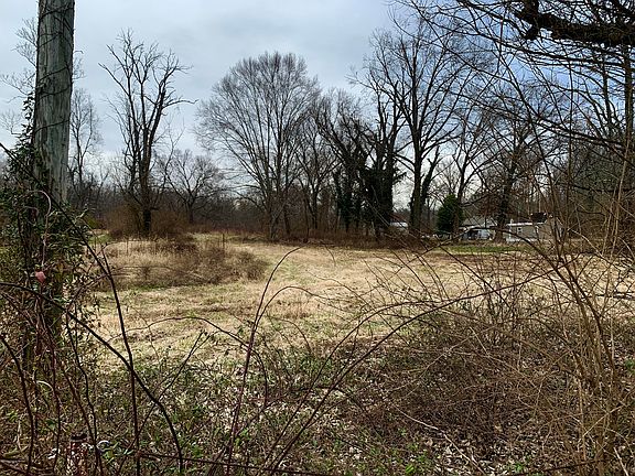 3rd image of 4407 Bramers Ln