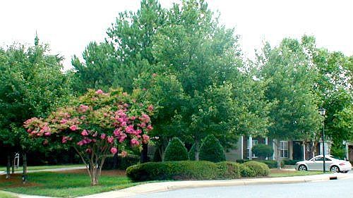 Street View at Entrance