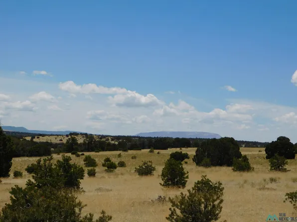 81 Chamisa Trl, Quemado, NM 87829