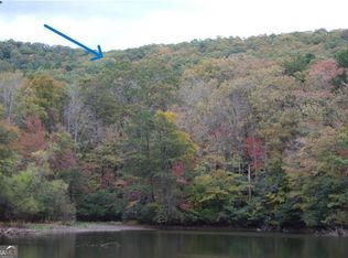 LOT 19 Owl Mountain Rd, Ellijay, GA 30536