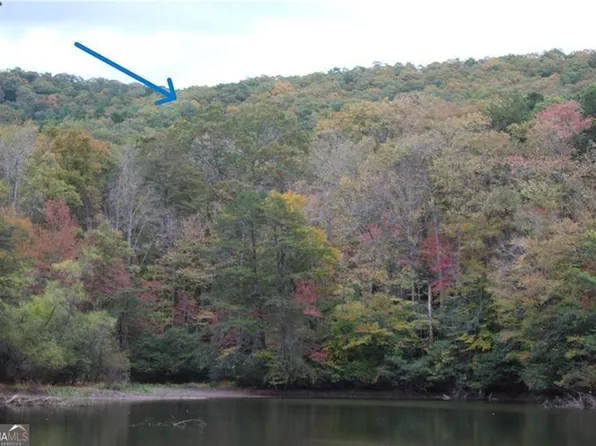 LOT 19 Owl Mountain Rd, Ellijay, GA 30536