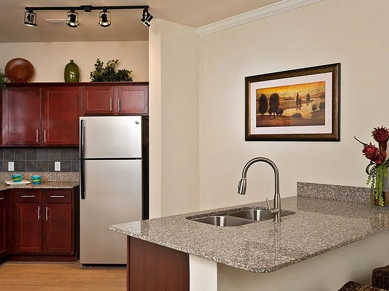 Stylish Kitchen