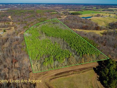 Protemus Rd, Farmington, KY, 42040