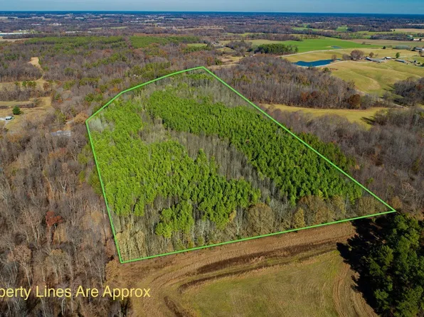 Protemus Rd, Farmington, KY 42040