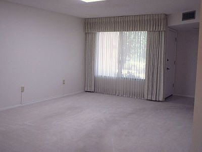Lovely natural light in the living room!
