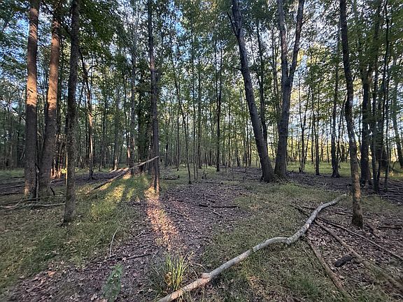 5th image of 17232 Sandy Ridge Rd