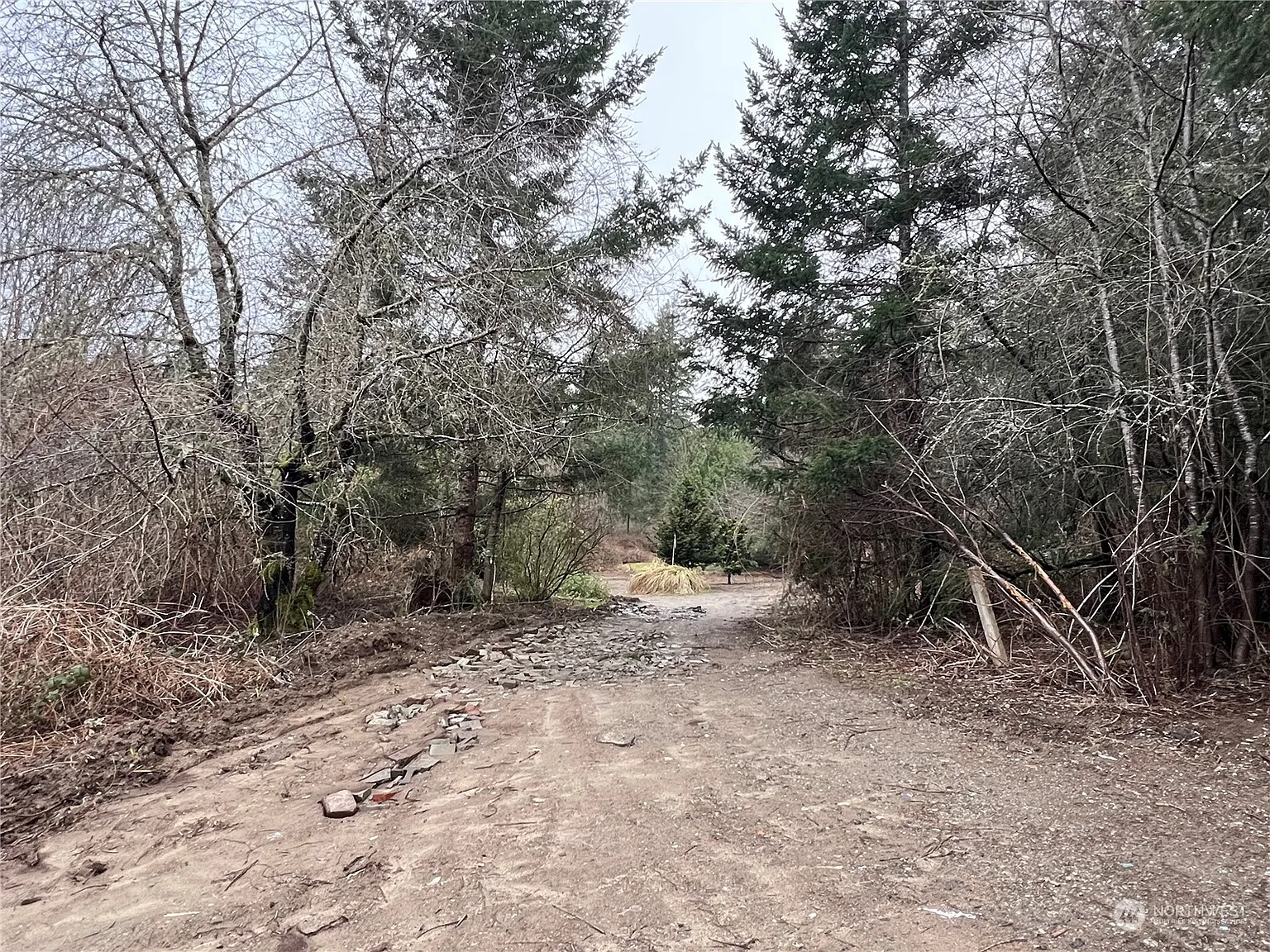 1615 Lake Drive SW photo 1