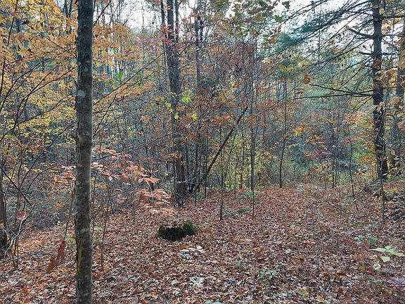 2nd image of LOT 19 Sugar Maple Way