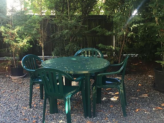 Back yard picnic area