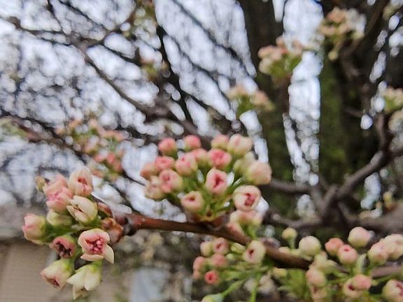 4th image of 2565 E Atlantic Street