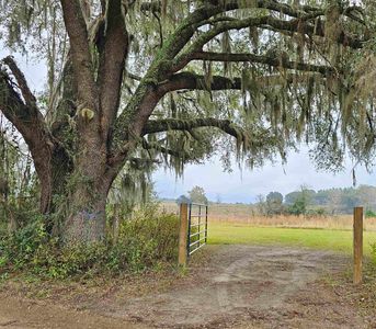 1262 NW Hawks Ave, Greenville, FL, 32331