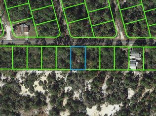 333 Moon Glow Ave #36, Lake Placid, FL 33852