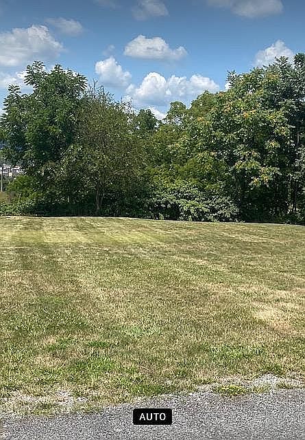 Flat, buildable lot