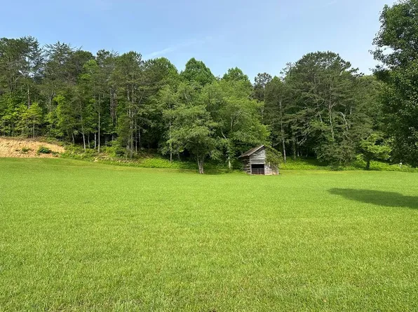 LOT 47 Prosperity Dr, Warne, NC 28909