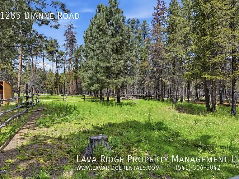 51285 Dianne Rd — Photo 52